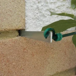 Druivengeleiders - Set Van 4 Stuks