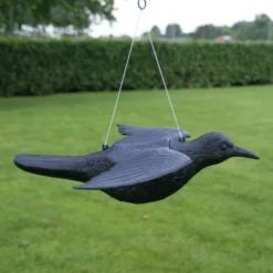 Duivenverjager Vliegende Raaf