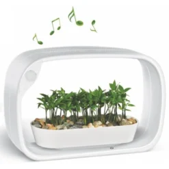 Mini Tuin Jardin Secret Met Ledverlichting En Bluetooth - Rechthoek