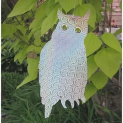 Weringsuilen Hologram - Set Van 6 Stuks